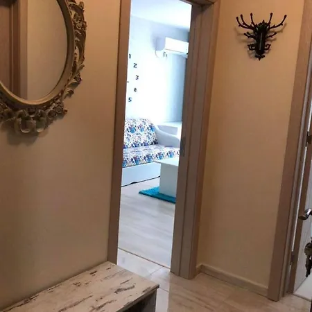 анели 帕莫瑞