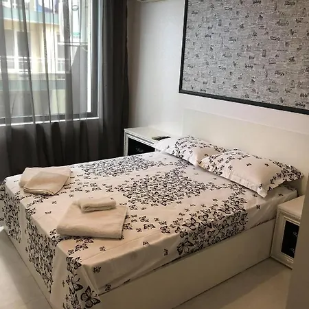 анели * 帕莫瑞