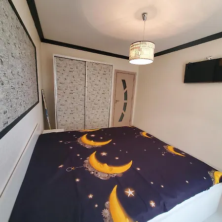 анели 帕莫瑞